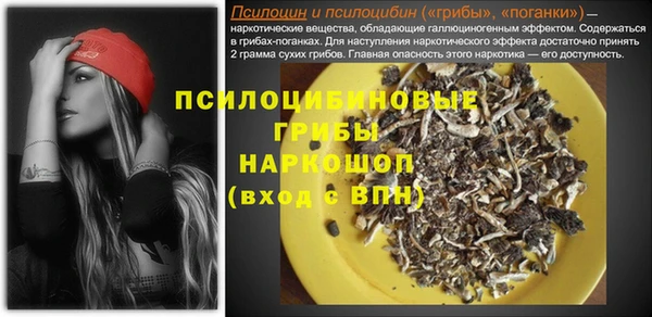ECSTASY Мегион