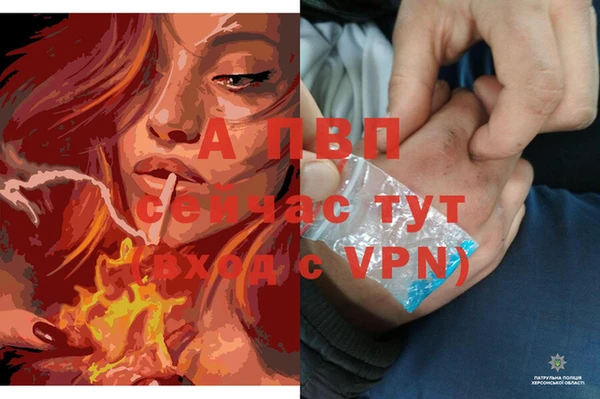 ECSTASY Мегион