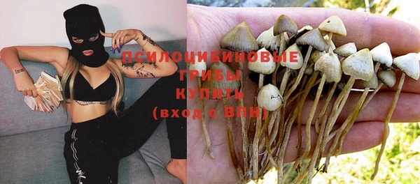 молекула духа Медногорск