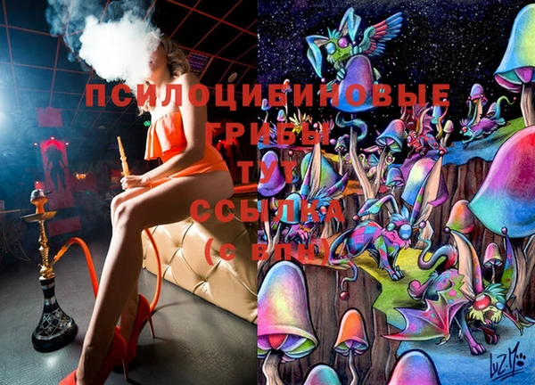 молекула духа Медногорск
