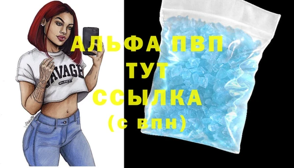 молекула духа Медногорск