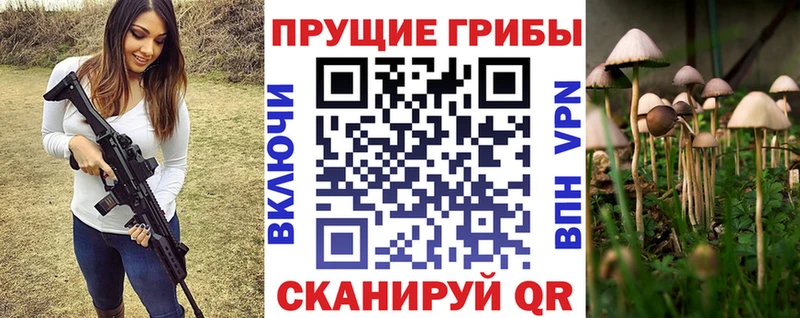 цены наркотик  Усолье  Псилоцибиновые грибы Psilocybe 